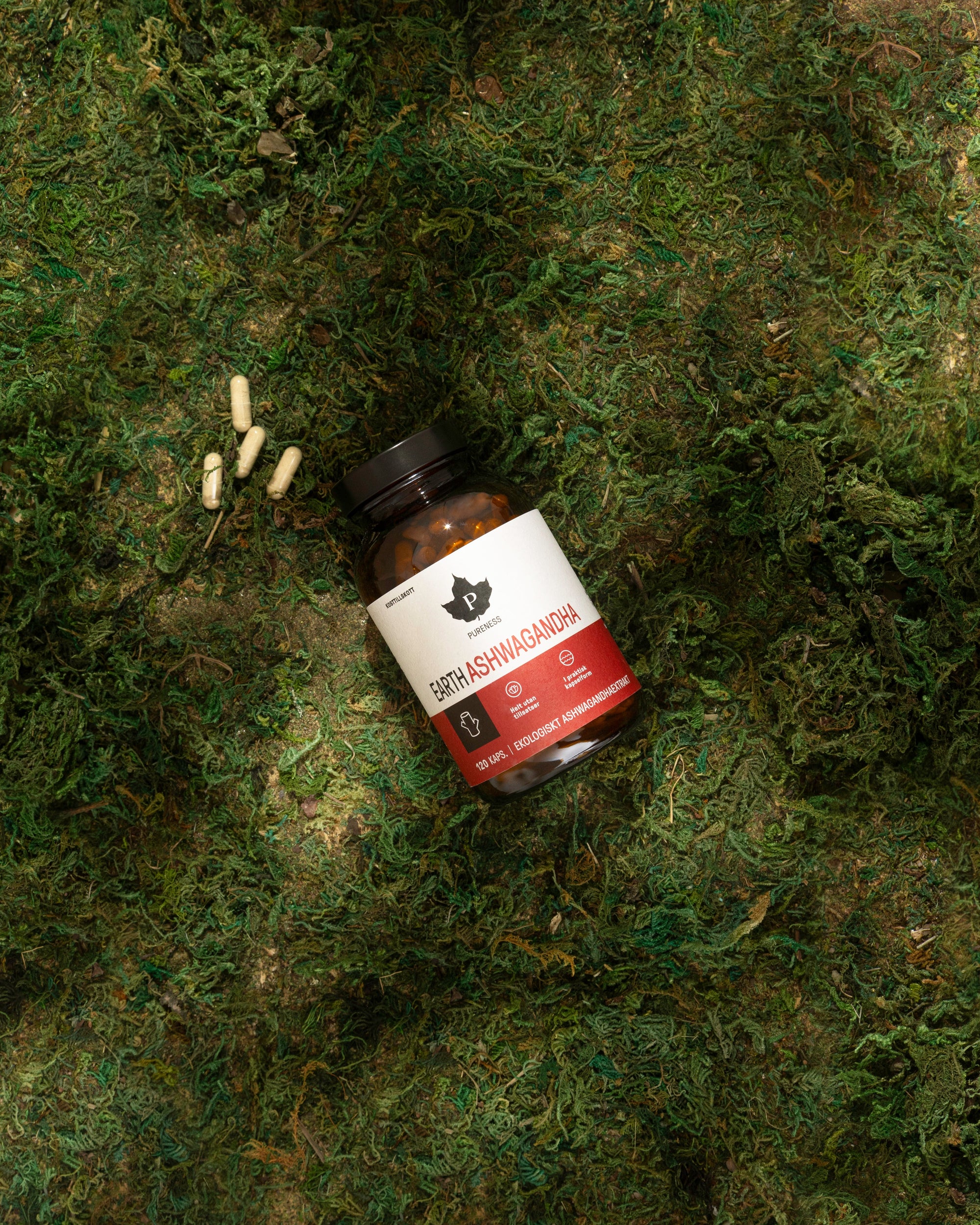 Ashwagandha – vad är det och hur används det?