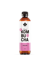 Ekologisk Kombucha Hallon - 400 ml